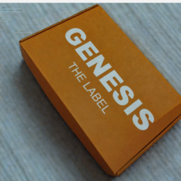 Sustainable brown self-lock mailer box – recyclable, durable, and stylish packaging solution for secure shipping
