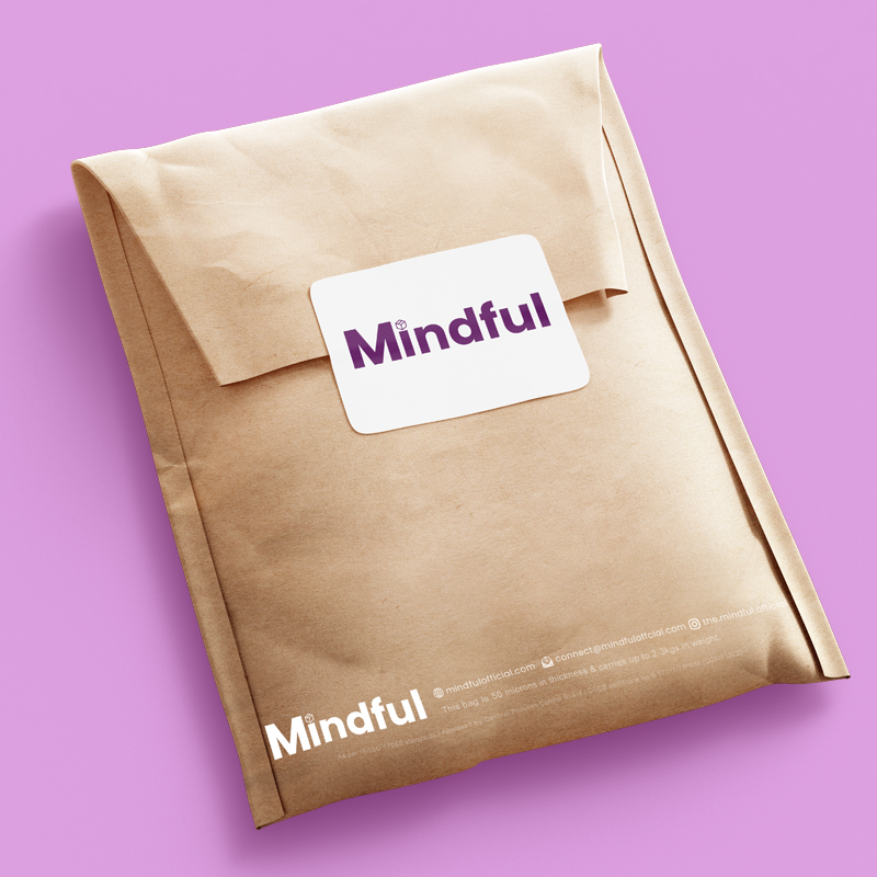 Kraft Paper Mailer Bag