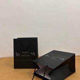 Black Colored Carry Bag