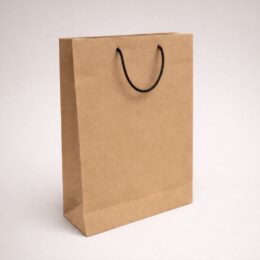 Brown Paper Carry Bag